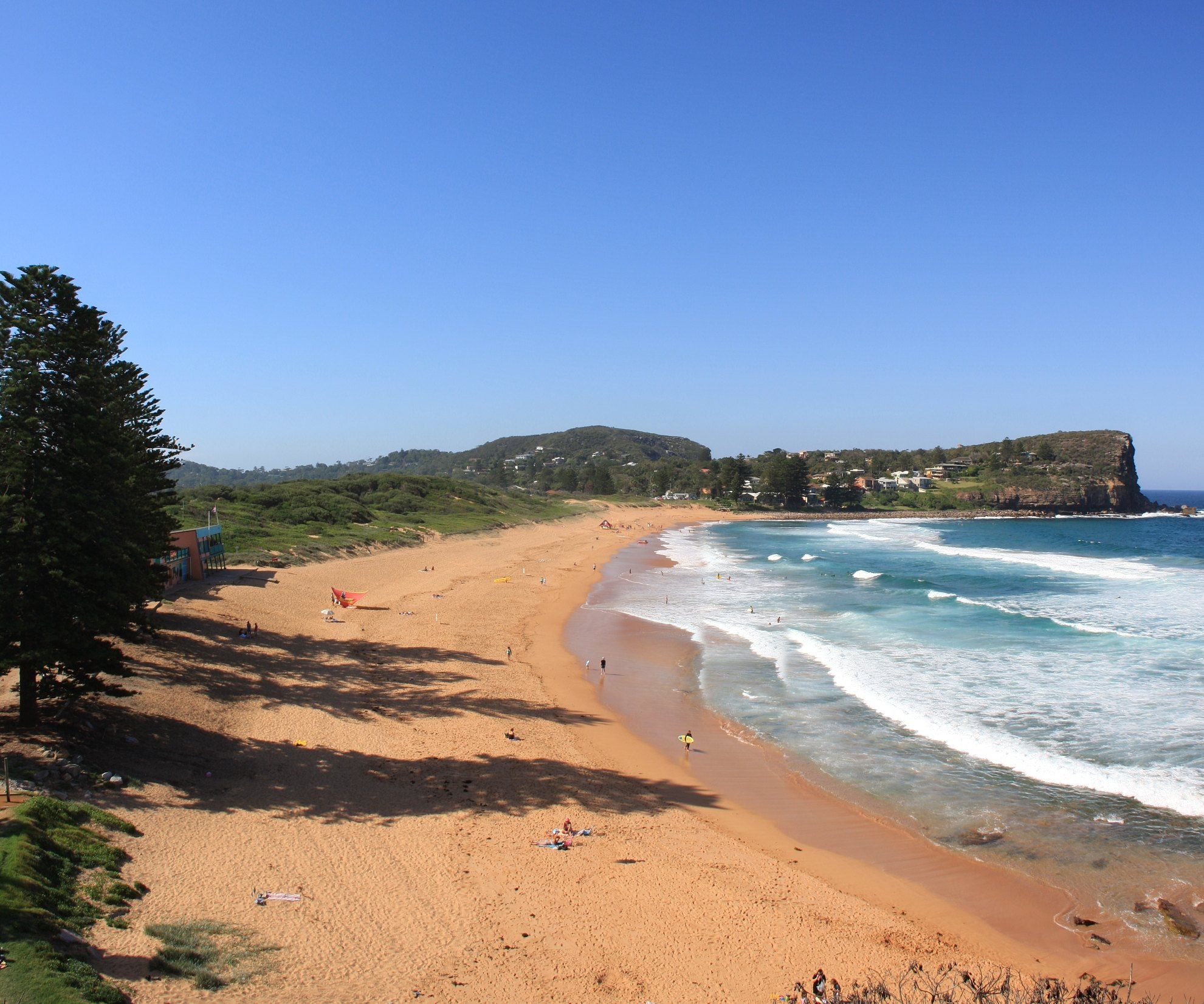 Avalon Beach looking north to Careel Head on a sunny day, pines on the left