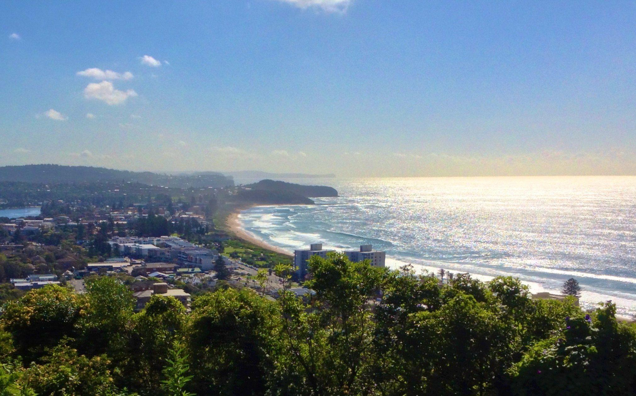 Collaroy and the beach in late afternoon light, seen from the hill