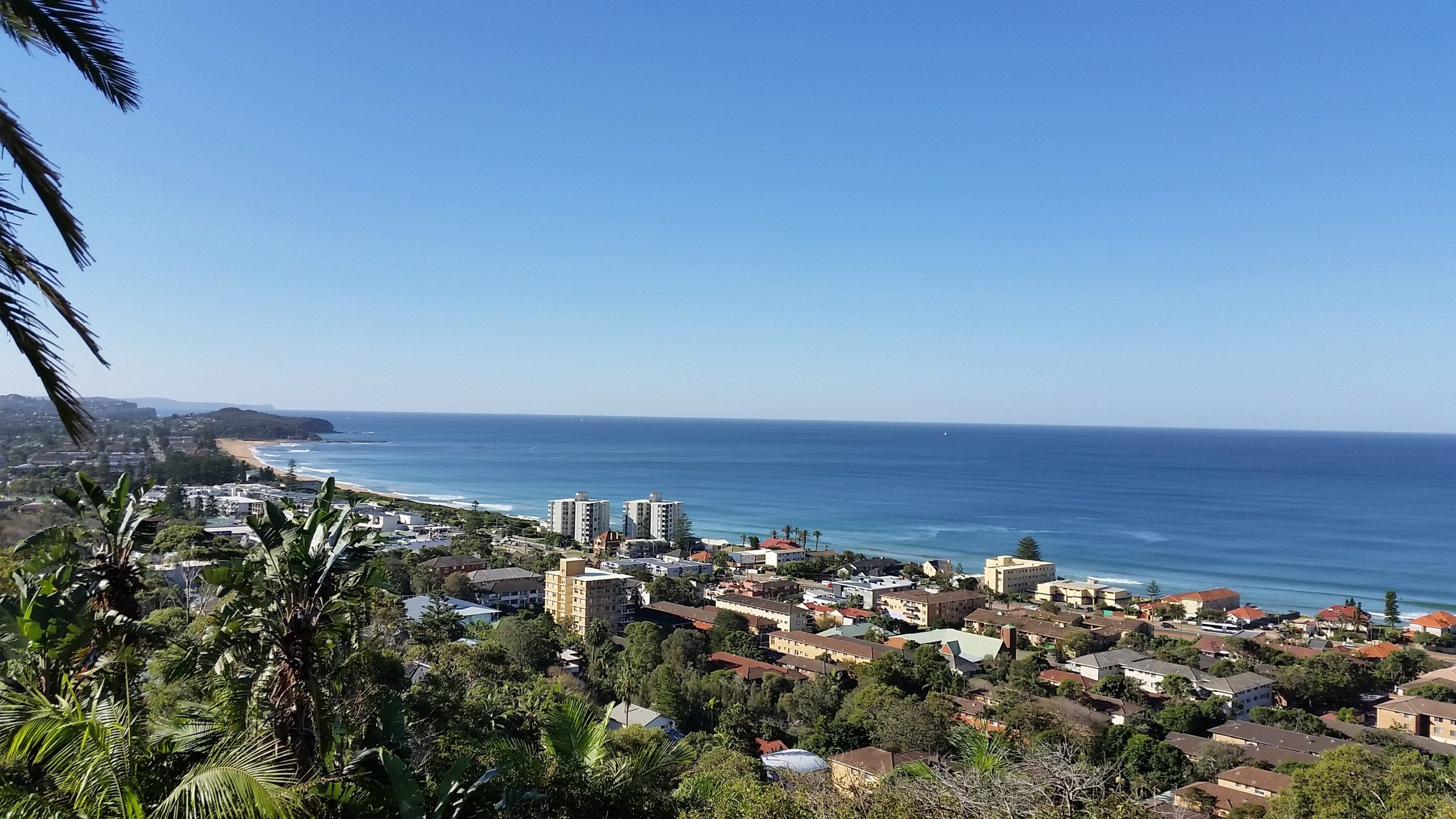 Apartment blocks along the Collaroy beachfront and the ocean beyond, seen from the plateau