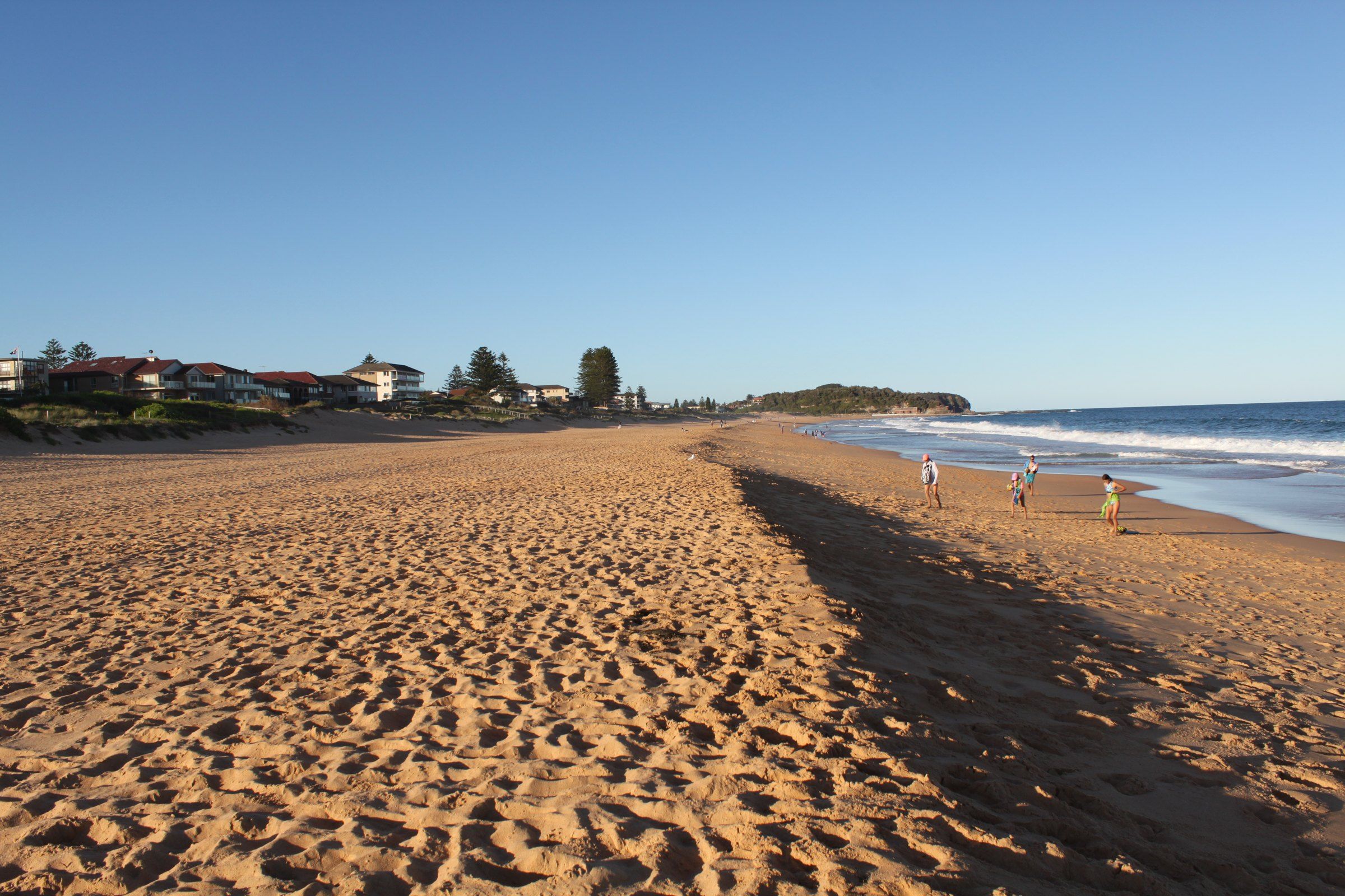 The long, wide sand of Collaroy–Narrabeen beach on a clear day