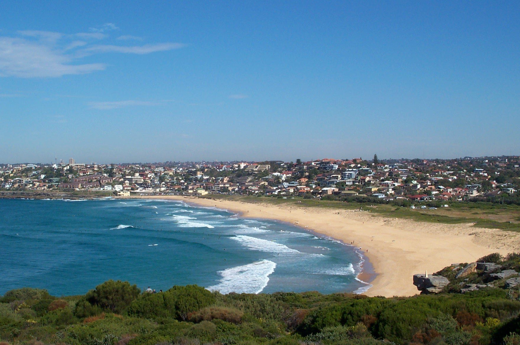 Curl Curl Beach curving away below the bush on the headland, surf rolling in and the houses of Curl Curl behind