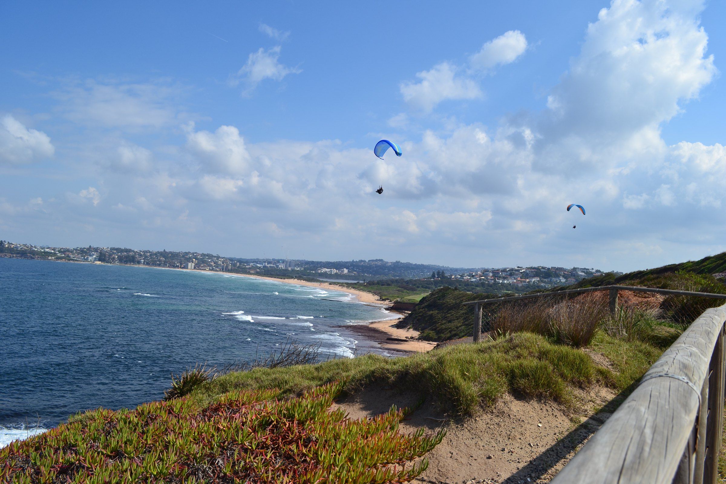 Looking south over Dee Why Beach from the headland on a sunny day, paragliders overhead