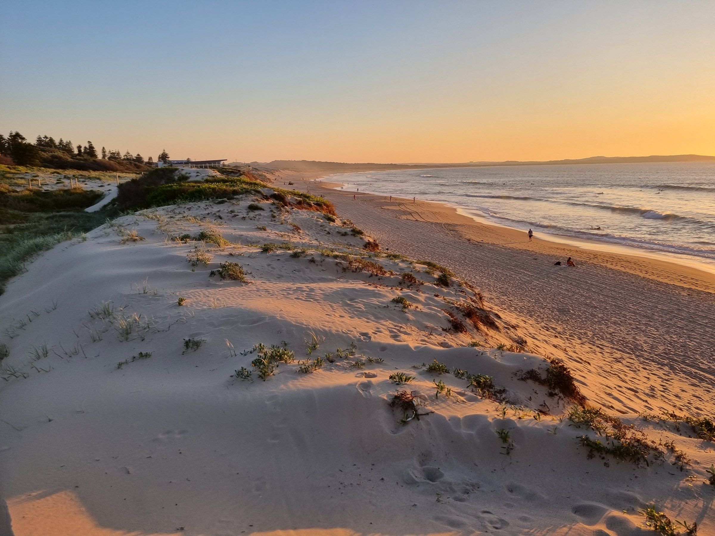 Footprints across the vegetated dunes at Elouera Beach, the long sweep of Bate Bay beyond