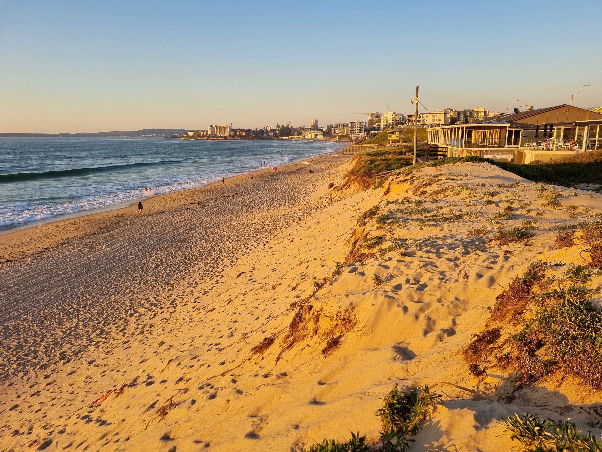 Elouera Beach in late-afternoon light, dunes in the foreground and the towers of Cronulla along the bay to the south