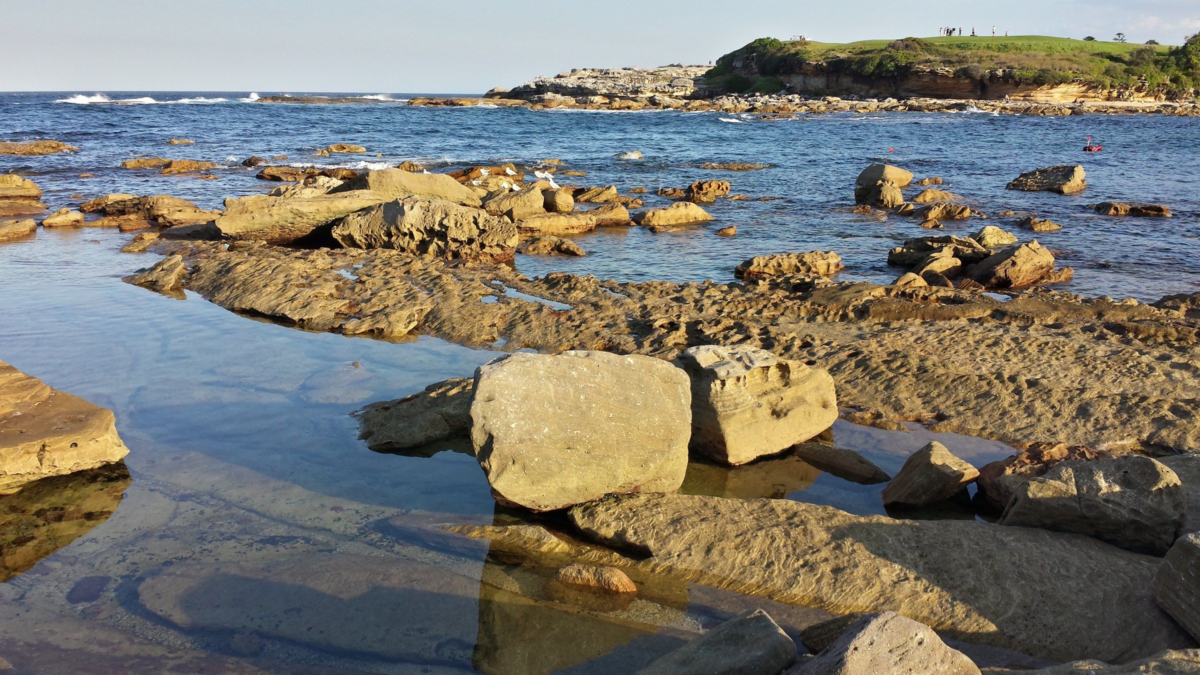 Sandstone rocks and clear still water at Little Bay on a sunny day, the headland beyond