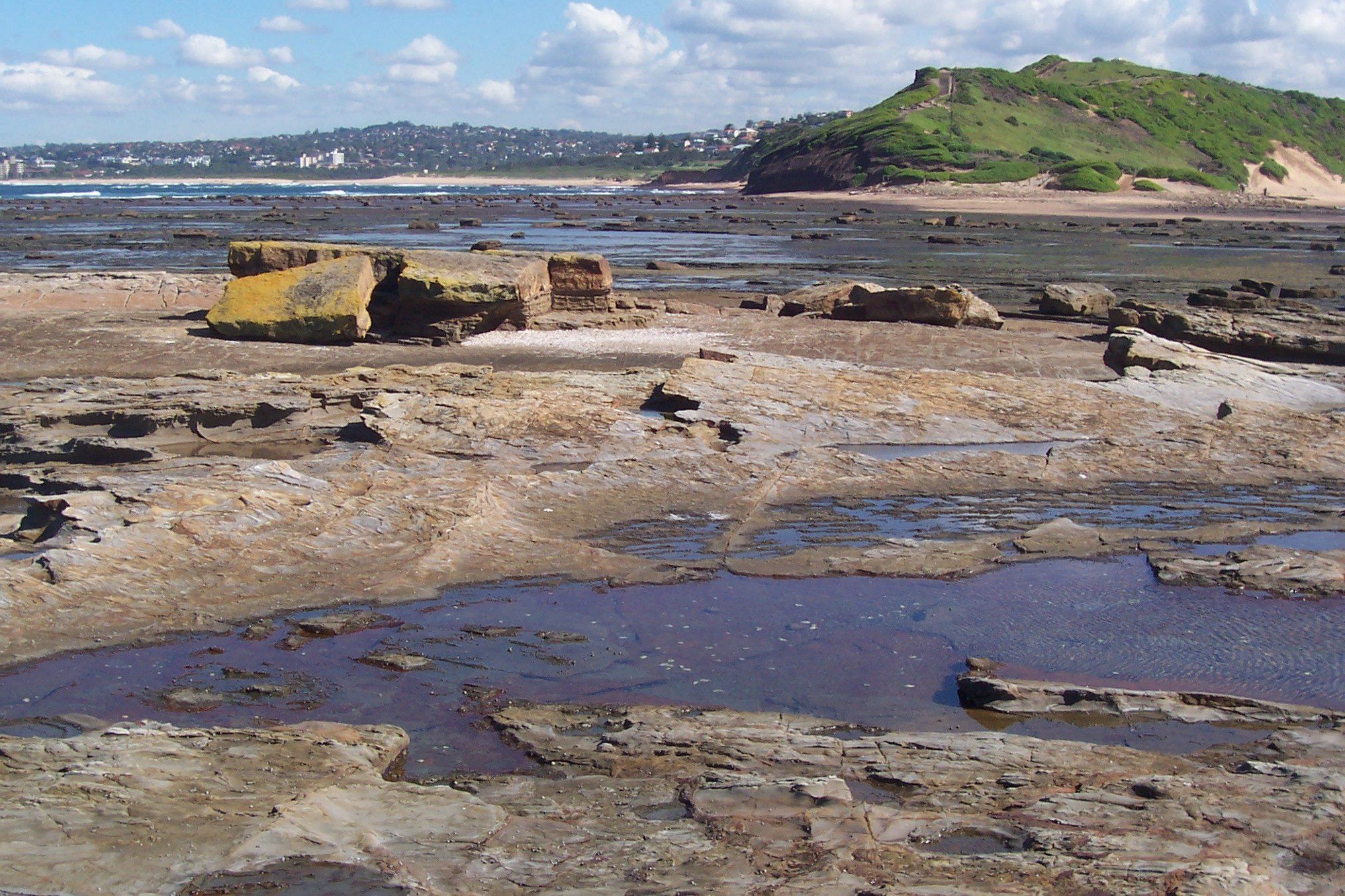 The flat rock platform at Long Reef at low tide, pools of water and the grassy headland behind
