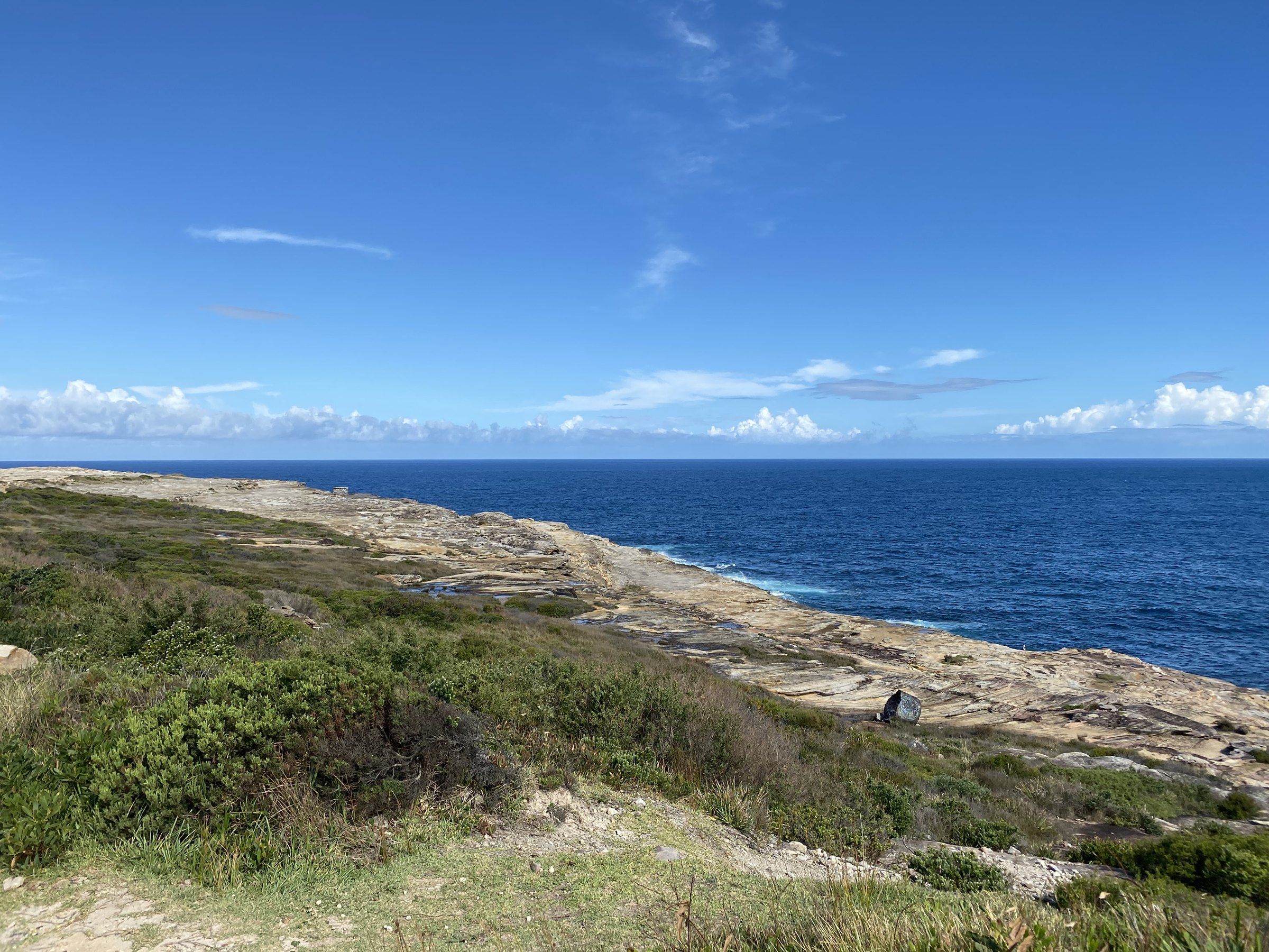 Low heath and sandstone ledges on Malabar Headland at Boora Point, the ocean beyond