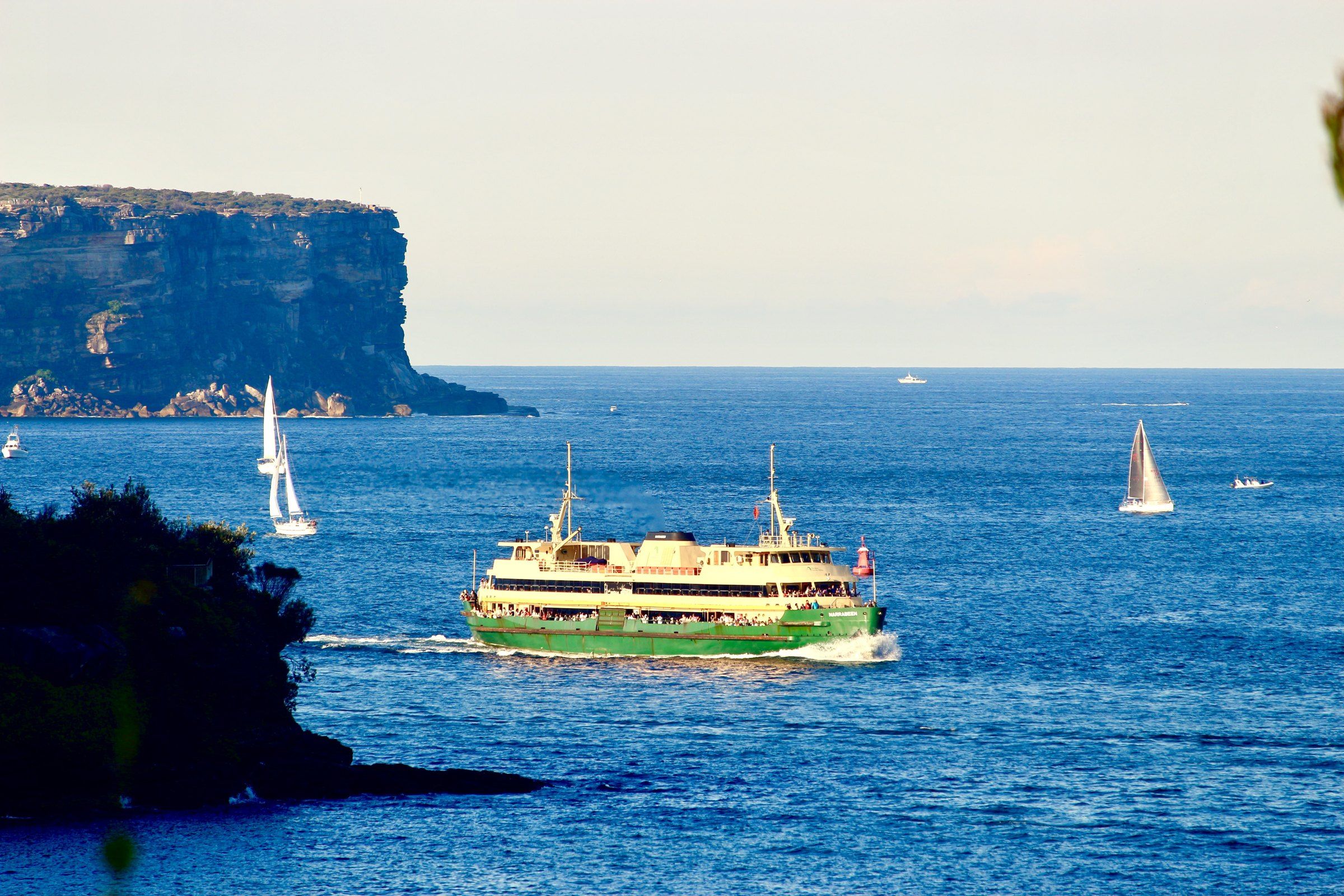 A green and gold Manly ferry crossing the harbour, North Head behind