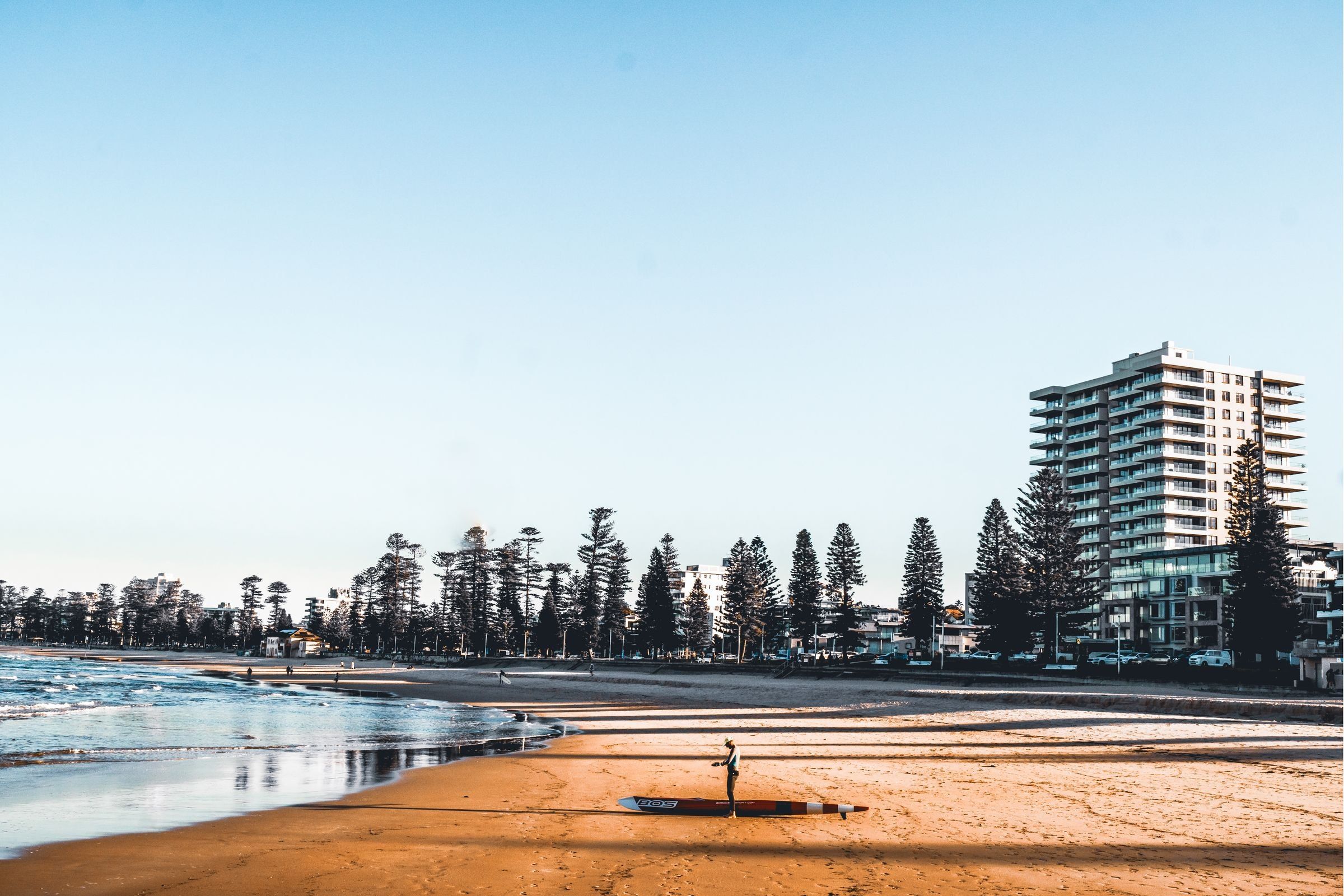 Norfolk pines and apartment towers behind the sand at North Steyne, Manly
