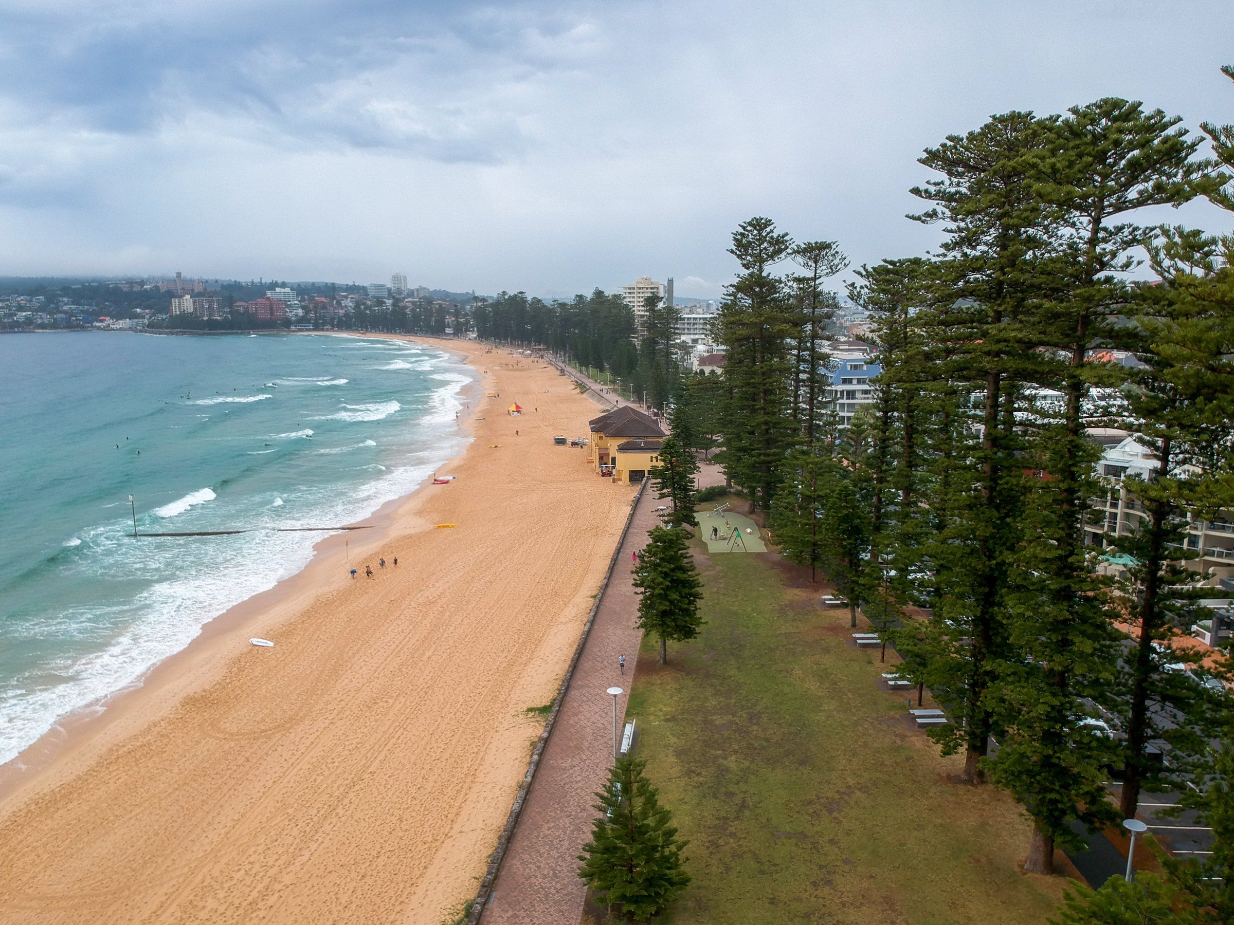 Manly Beach on a sunny day, the Norfolk pines along the promenade and the sand curving north