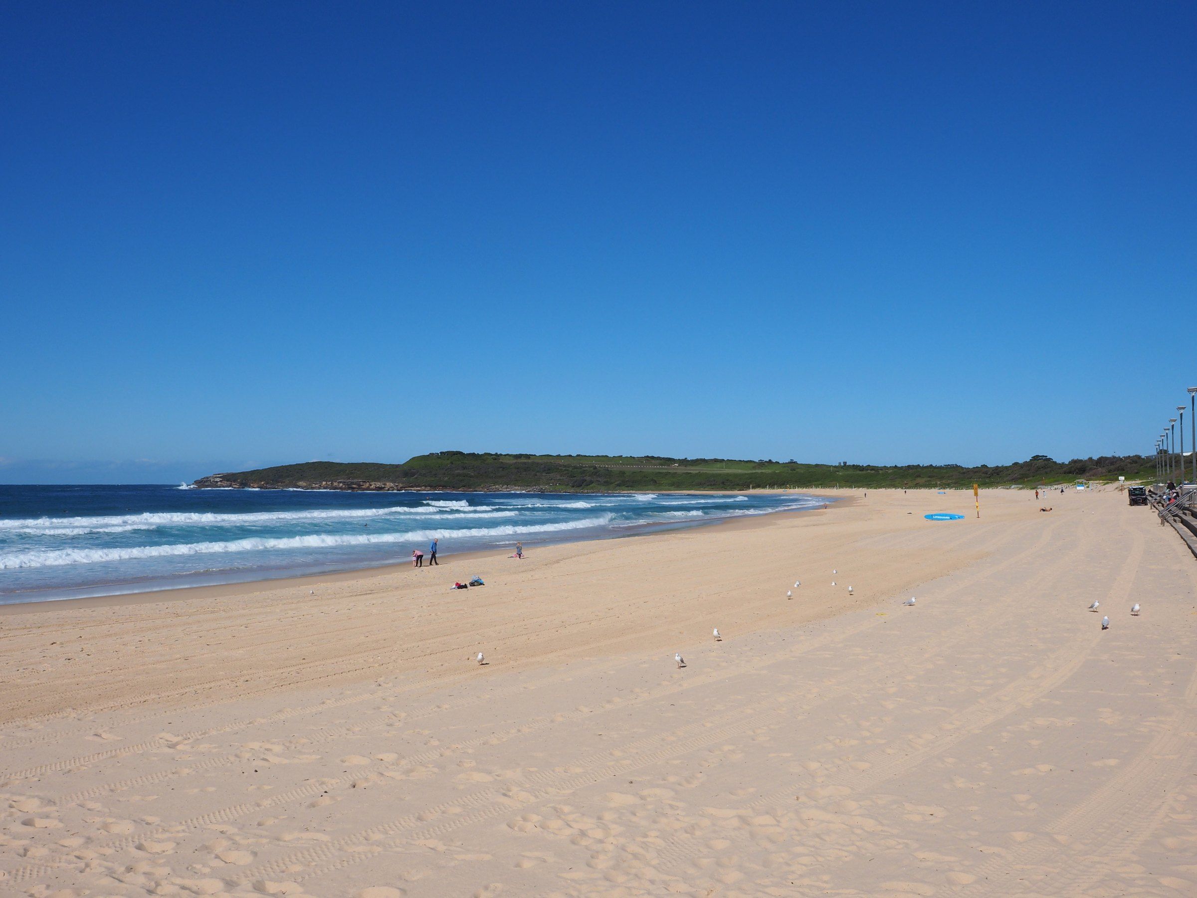 Maroubra Beach on a clear day, the wide sand running towards the headland