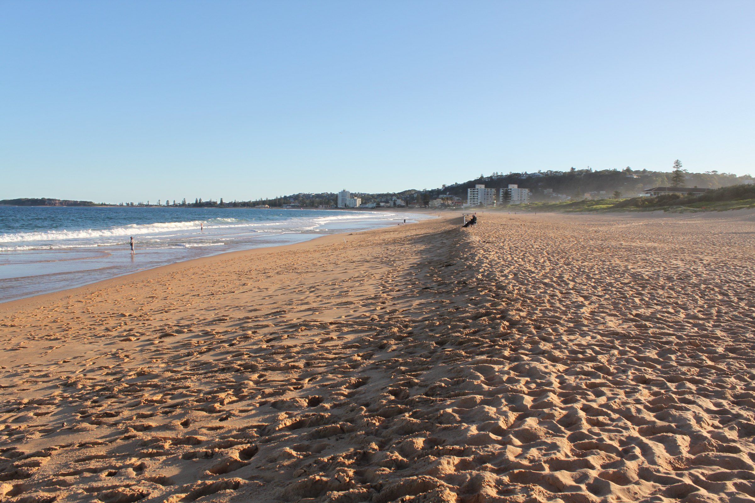 The wide sand of Narrabeen beach on a clear day, houses behind