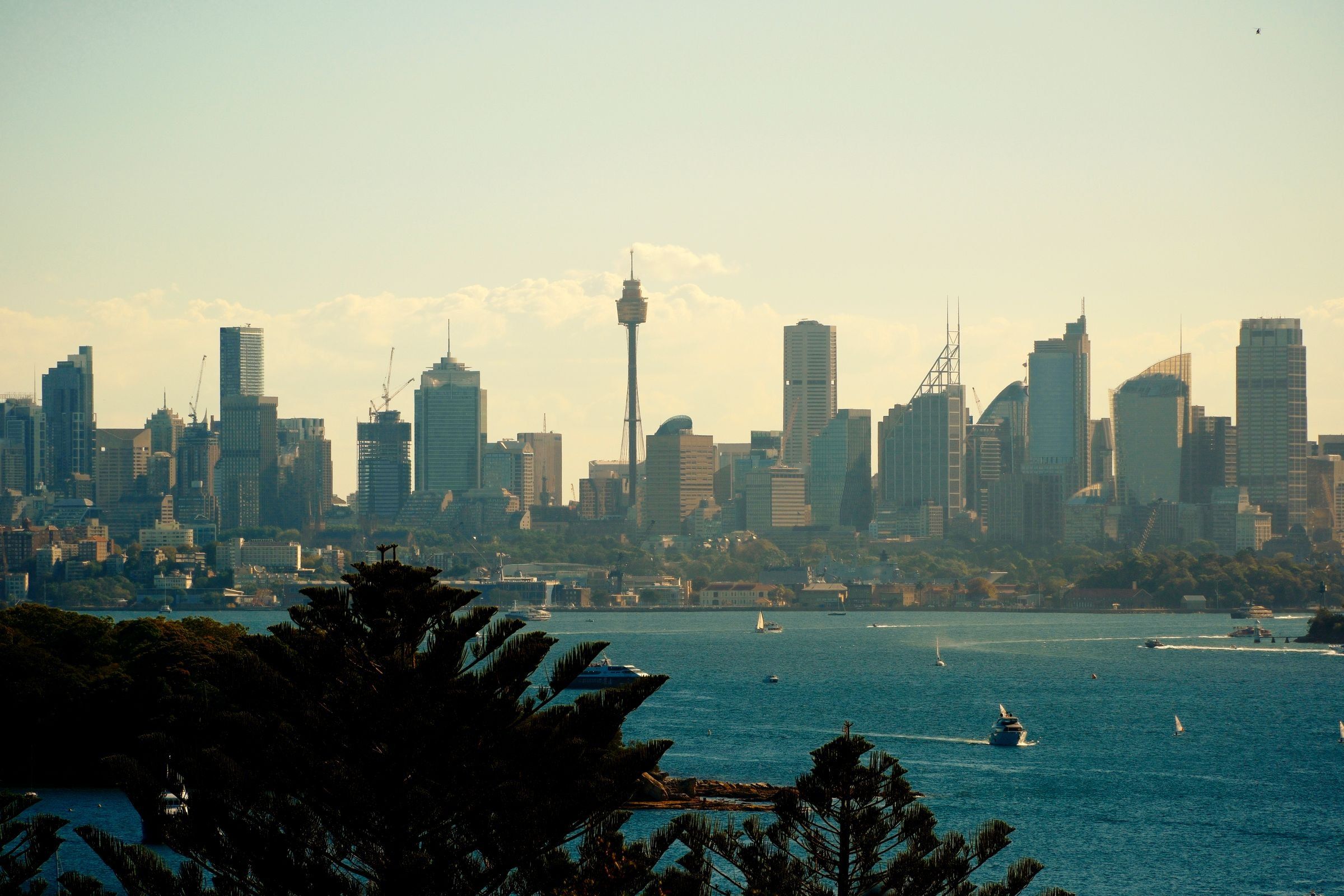 The Sydney city skyline across the harbour from Watsons Bay