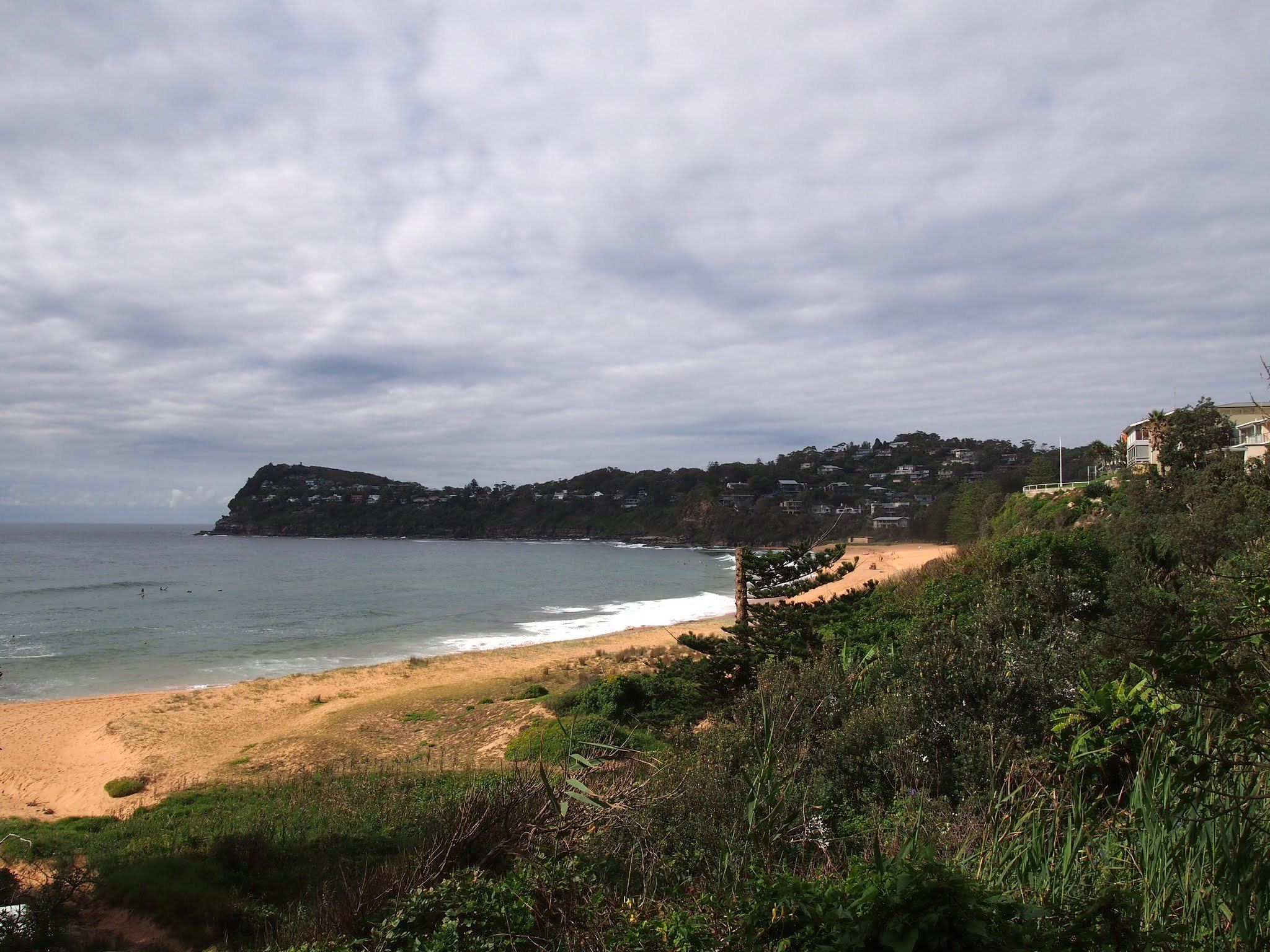 Whale Beach seen from the road above, the sand and the headland