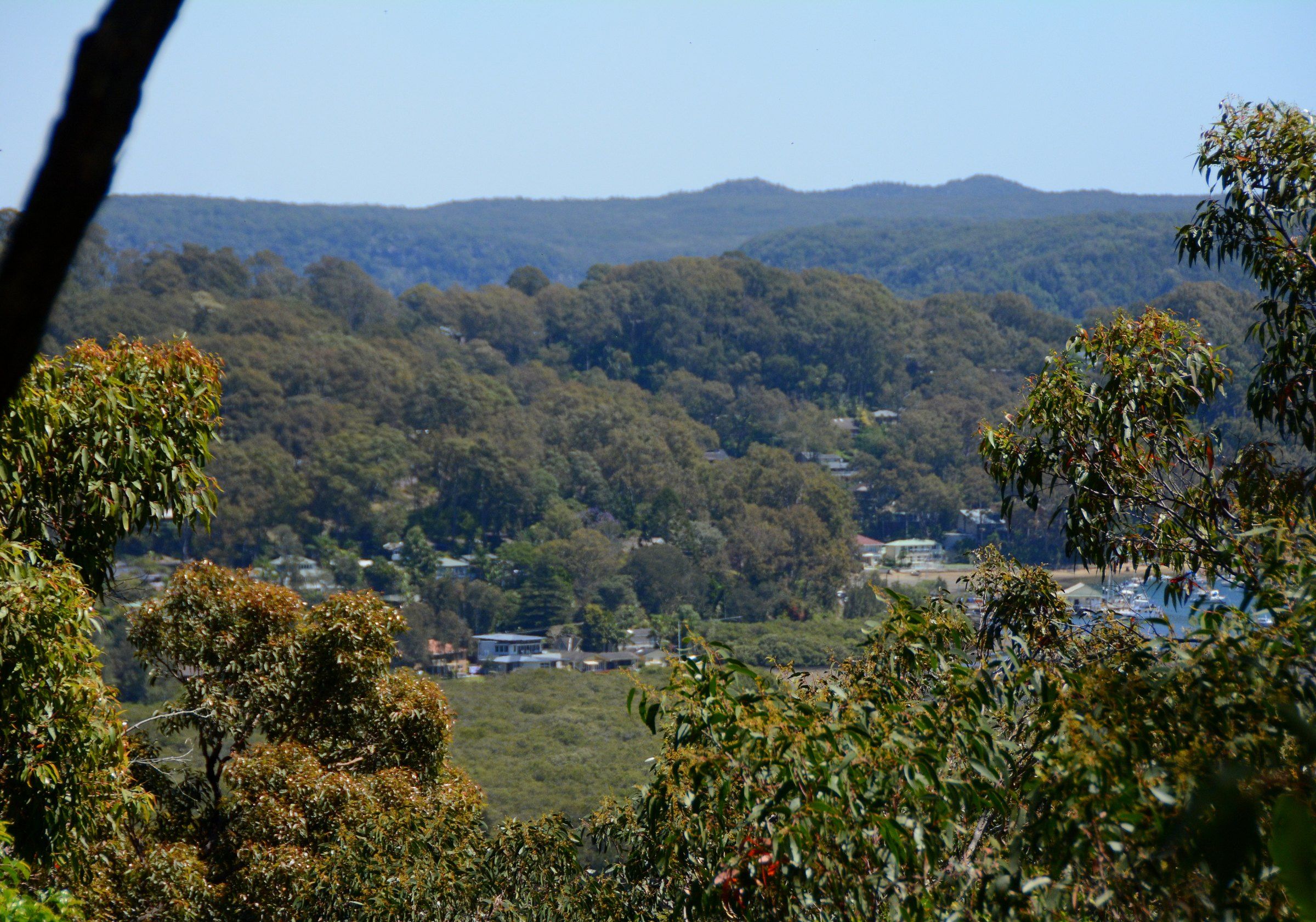The view from Whale Beach Road over the bush-covered hills
